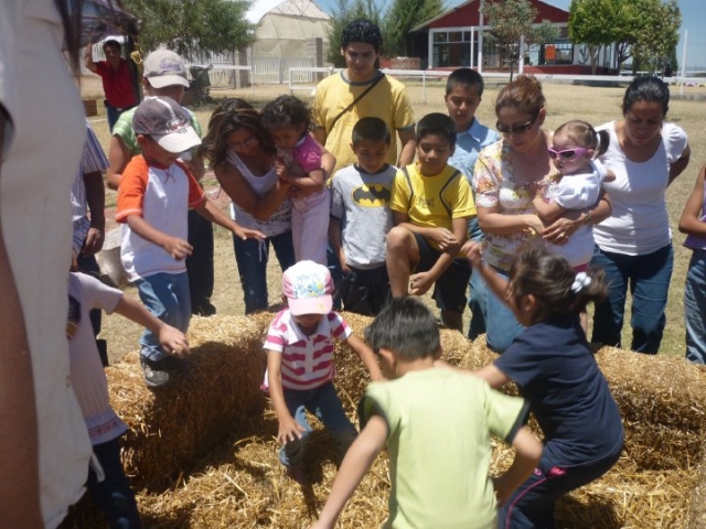 Actividades de Granja